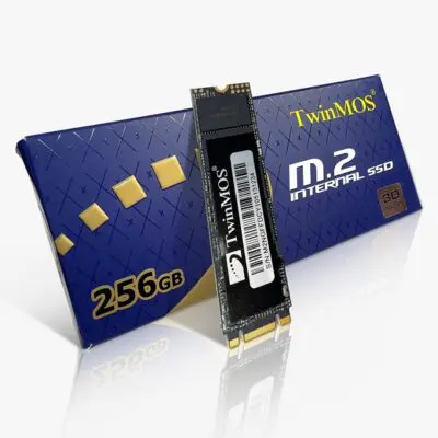 اس اس دی اینترنال تویین موس مدل NVMe M.2 2280 PCIE1 ظرفیت 256 گیگابایت